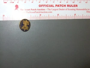 Boy Scout 10 Year Veteran Lapel Pin 5576EE - Picture 1 of 2