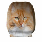 Ginger Cat Face Design Car Seat Head Rest Covers Pack Of Two Car Accessory