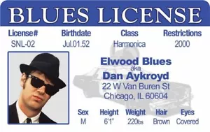 Elwood Blues MAGNET ID Blues Brothers Film gefälscht Dan Aykroyd Führerschein - Bild 1 von 3