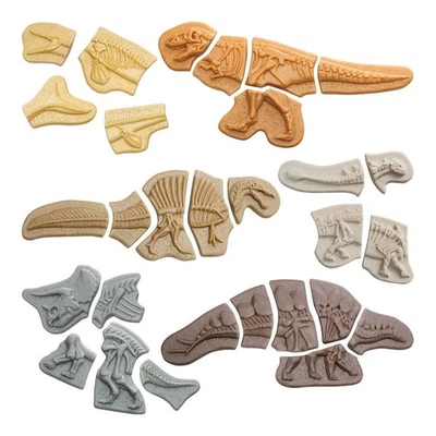 Yellow Door Dig & Discover Dinosaur Tactile Skeletons - Set of 6 - Image 1 of 4