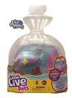 Lil' Dippers Little Live Pets  - Pearletta	 - NEW IN BOX