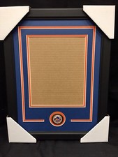 New York Mets New 16x20 Photo Vertical Team Medallion Frame Kit
