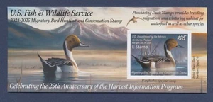 USA - Scott RW91A / RW 91B - Federal Duck Stamp - e-stamp, no bar code - 2024 - Picture 1 of 2