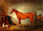 Oil painting animals horse dog together Firebird-And-Policy-John-Ferneley-Snr