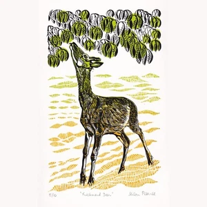 "Richmond Deer" Original Limited Edition Linolschnitt Druck von Alison Pearce - Bild 1 von 15