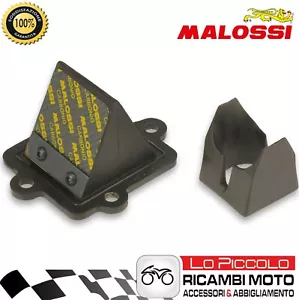 PACCO LAMELLARE MALOSSI VALVOLE IN CARBONIO 50 2T MINARELLI ORIZZONTALE - Foto 1 di 1