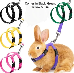 4 Pieces Adjustable Rabbit Harness & Leash Set Escape Proof Small Animal,Dog,Cat - Picture 1 of 6