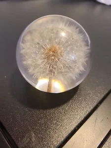 Pisapapeles Haford Grange con diente de león - Imagen 1 de 6