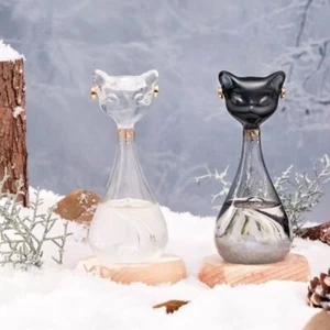 Storm Glass Weather Station Weather Predictor Forecaster Bottle with Wood Base - Picture 1 of 18