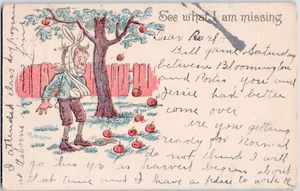 Vintage Postcard Humor Funny Injured Man Cast Apple Tree c1910 See What Missing - Picture 1 of 2