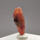 6.63Ct Ruby / Luc Yen, Vietnam / Rough Crystal Gem Gemstone Mineral Specimen