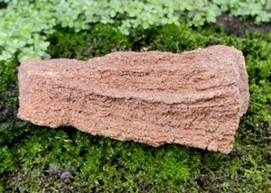 72Gr Rare Rough Petrified Wood Covered by Shimmery Drusy Quartz - Picture 1 of 7