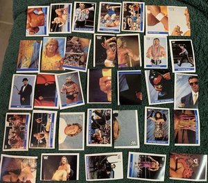 1991 Diamond Publish WWF SuperStars Sticker unbenutzt 33 - keine Duplikate! - Bild 1 von 2