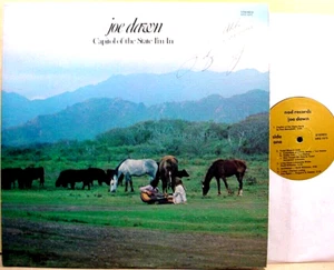 JOE DAWN - Capitol Of The State I'm In - '75 EX/NM Hawaiian folk LP + Autograph - Imagen 1 de 7