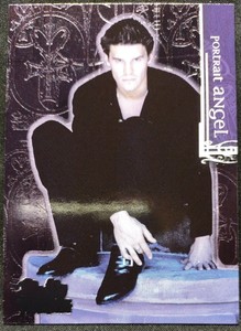 Buffy The Vampire Slayer Evolution Chase Card Inkworks 2002 Portrait Angel PT-8