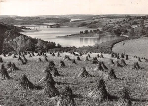 15-PAYSAGE DU CANTAL A IDENTIFIER-N�C4113-D/0323 - Picture 1 of 2