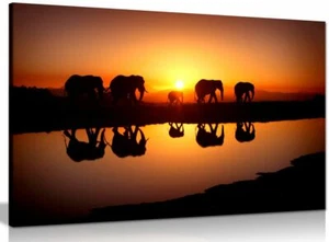Stampa quadro arte da parete arte al tramonto africani natura fauna selvatica tela - Foto 1 di 5