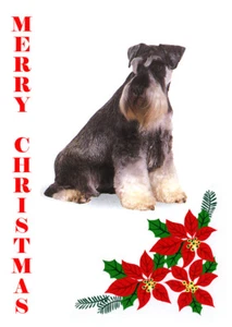 SCHNAUZER EINZELNER HUNDEDRUCK GRÜSSKARTE WEIHNACHT - Bild 1 von 1