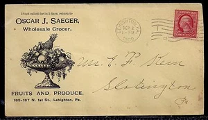 1909 Cubierta publicitaria ilustrada de frutas y productos - Lehighton, Pennsylvania - Imagen 1 de 2