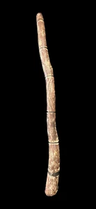 Old Australian Aboriginal Didgeridoo Arnhem Land Circa 1920's …beautiful collect - Picture 1 of 21