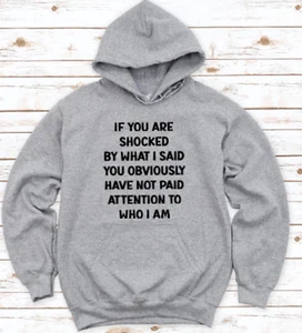 If You Are Shocked, You Obviously Have Not Paid Attention, Gray, Unisex Hoodie - Picture 1 of 2