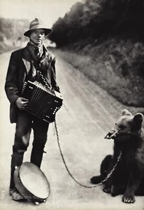 1929 Vintage AUGUST SANDER German Showman With Bear Accordion Photo Gravure Art - Picture 1 of 1