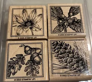 Stampin’ Up! CLOSE TO NATURE Set 4 Briefmarken - Bild 1 von 8