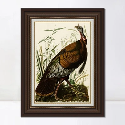 Framed Canvas Giclee Print Art Wild Turkey by John James Audubon Home Decor Foto 1 de 4
