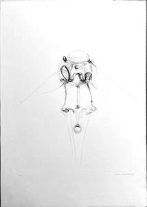 Mark LAMMERT "Reflection" 1997 litografia originale numerata 1/120 firmata - Picture 1 of 1
