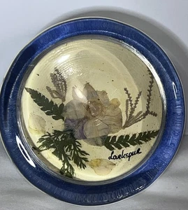 Vintage Round Flower Of Iceland Glass Paperweight With Larkspur Dried Flowers - Picture 1 of 7