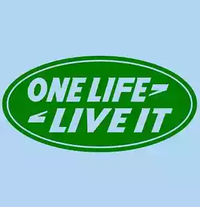 ONE LIFE LIVE IT Decal Sticker for 4X4 AWD EDM Mancave Hot Rod Vintage Stickers - Bild 1 von 2
