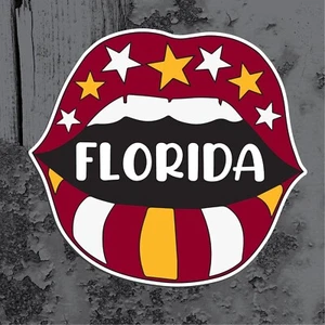 FLORIDA Pouting Lips in Florida State Colors Vinyl Decal Car Window Sticker - Foto 1 di 2