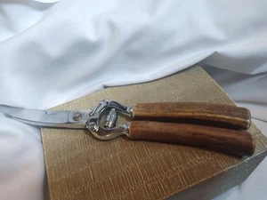 Rare Horn Vintage Solingen Poultry Shears - Picture 1 of 3