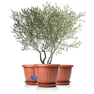 BIGDEAN 3x Blumentopf Balkonkasten Pflanzkübel Untersetzer rund 50xH38 cm terracotta