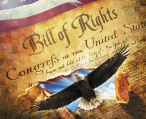 David Textiles Bill of Rights American Eagle 34" X 43" Fabric Quilt Panel - Picture 1 of 1