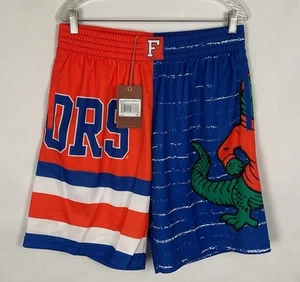 MITCHELL & NESS Florida Gators JUMBO LOGO LOGOTRON College Basketball Shorts L - Picture 1 of 16
