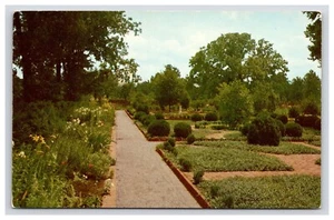 Postkarte: KY Formal Gardens, Ashland, Henry Clay, Lexington, Kentucky - unbesendet - Bild 1 von 2