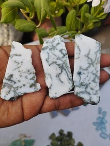 RAW SLICES  DENDRITE AGATE WITH PATTERNS 50-70mm - Picture 1 of 6