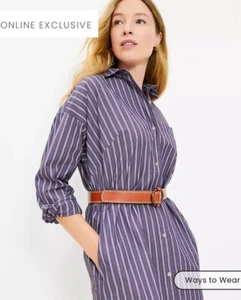 Petite Striped Mini Pocket Shirtdress - LOFT - NWT - Winter Plum - Size 4P - Picture 1 of 3