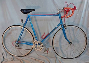 1978 Bridgestone Kabuki Touring Road Bike 63.5cm XX-Large Chromoly Suntour BL - Picture 1 of 16