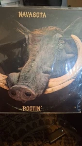 Steely Dan & Flo Eddie Navasota Rootin' LP Record 1972 WLP, ABC Records - Picture 1 of 2