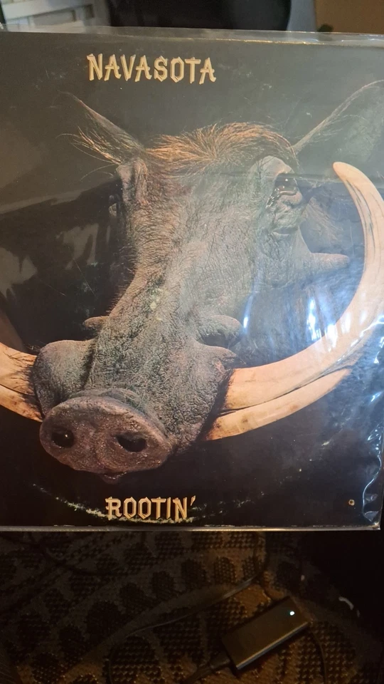 Steely Dan & Flo Eddie Navasota Rootin' LP Record 1972 WLP, ABC Records - Image 1 of 2