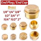 Brass Flanged Plug Male Stop End Cap Threaded BSP 1/8" 1/4" 3/8" 1/2" 3/4" to 2"
