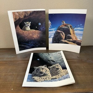 3 Vintage 1993 Stuart Hall Schim Schimmel Pocket Portfolio Folders Animal Art - Picture 1 of 13