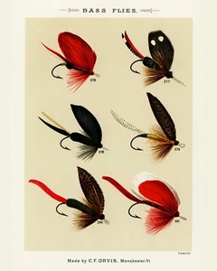 Print or Canvas  - Bass Flies  by Mary Orvis Marbury - Picture 1 of 1