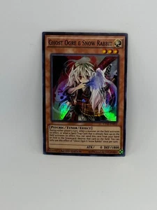 Yugioh Card Ghost Ogre & Snow Rabbit CT13-EN012 SUPER RARE - NM - Picture 1 of 1