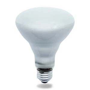 Replacement Bulb for GE GENERAL ELECTRIC G.E 65R30/FL/LL 120V 65W 130V - Picture 1 of 5