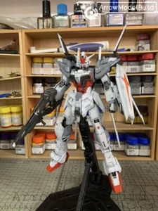 AeroModelBuild Ex Impulse Gundam Built & Painted 1/100 Model Kit - Picture 1 of 11