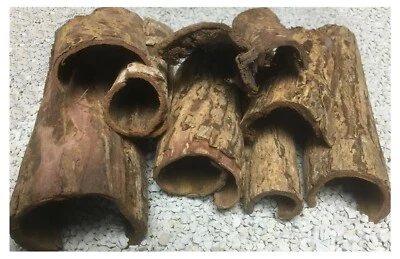 Höhlen Set 500gr - Seemandelbaum Rinde (500 gr ca. 10 Teile) Wasseraufbereitung - Bild 1 von 2