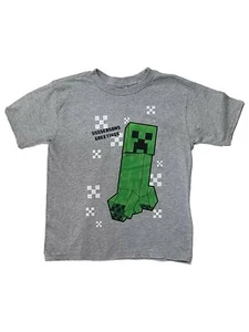 Boys Gray Minecraft Short Sleeve Christmas Seasons Greetings Tee Shirt - Picture 1 of 1